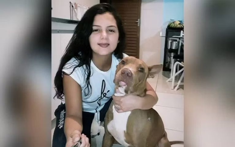 Brasil: pitbull mata dona e acaba morto a pauladas por vizinhos