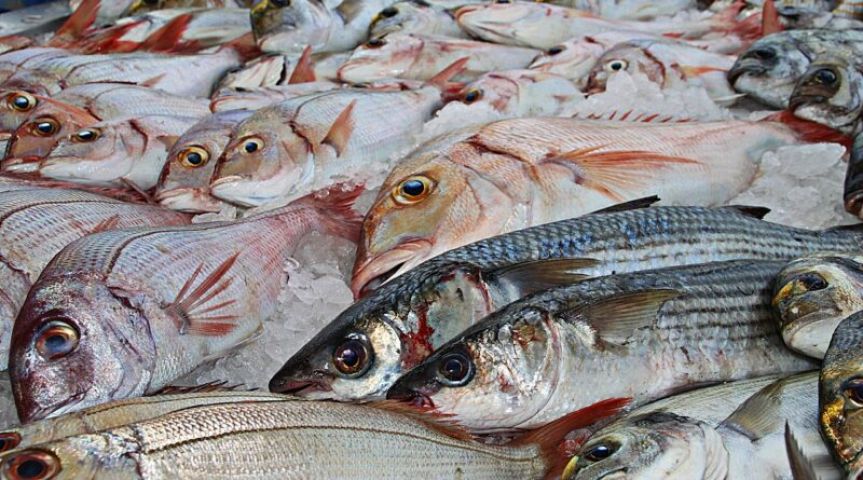 Procon Tubarão divulga pesquisa de preços de pescados para a Semana Santa com variação de até 70%