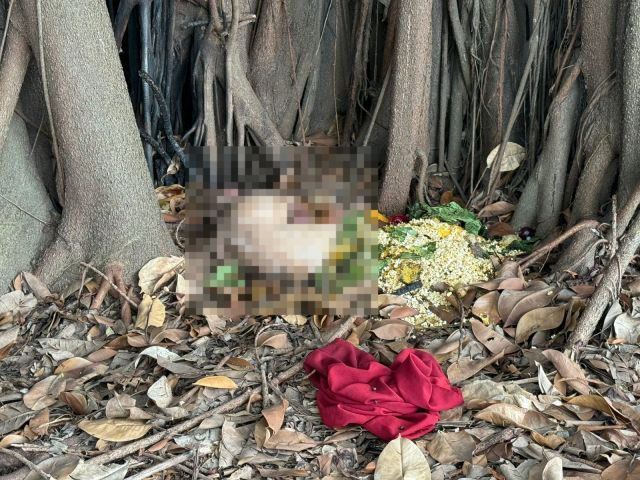 Cãozinho é deixado morto com sinais de tortura na beira-rio em Tubarão