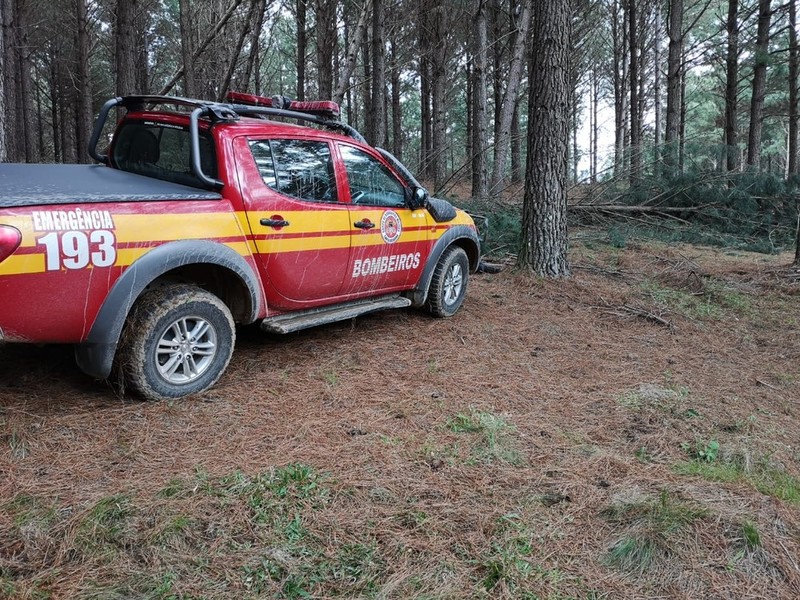 Na serra: Trabalhador morre após ser atingido por árvore em Lages
