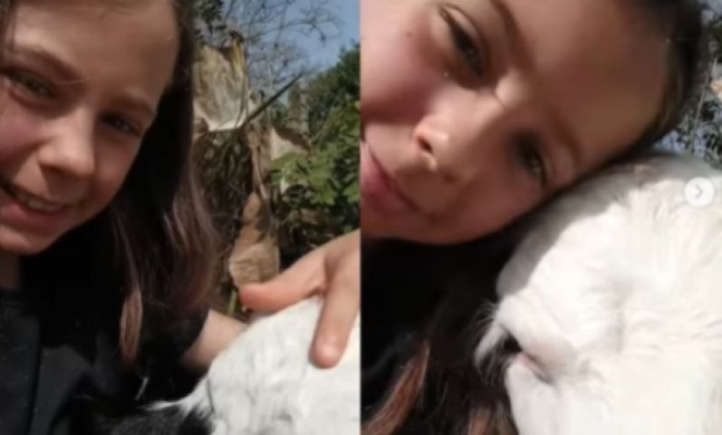 (VÍDEO) Com R$ 50, menina compra bezerro e cria laço de amizade que encantou a internet