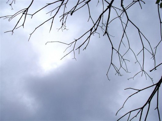 Feriado deve ser nublado com chuvisco em boa parte de SC