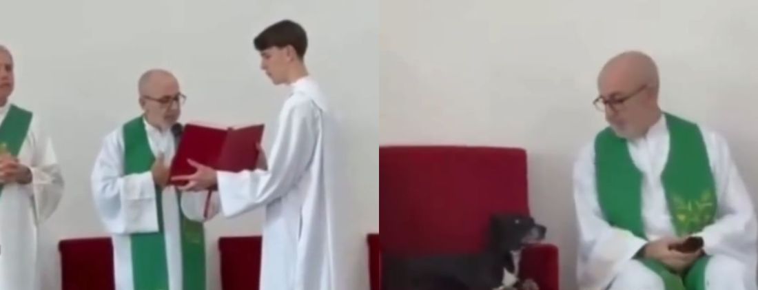 (VÍDEO) Cachorrinho sobe ao altar e rouba a cena durante missa em Jaraguá do Sul