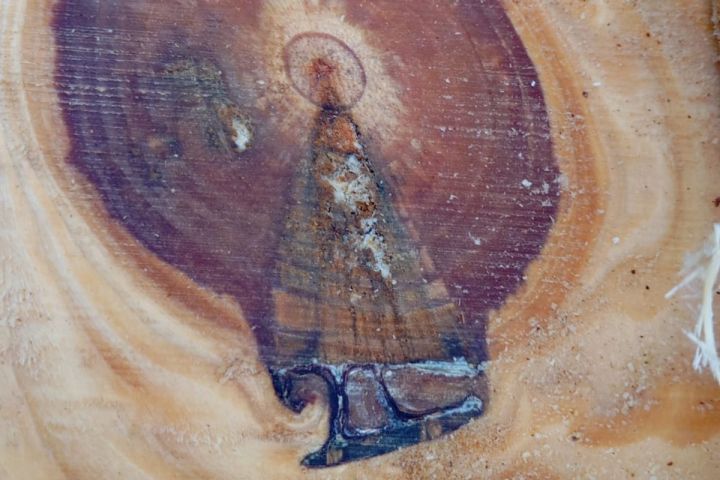 Imagem de Nossa Senhora Aparecida surge em tronco cortado e emociona família em SC