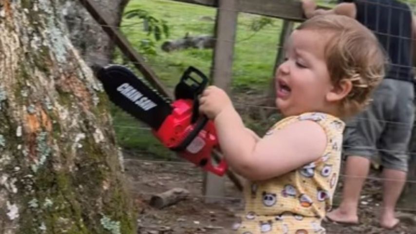 VÍDEO: Menino de Armazém (SC) viraliza na internet com motosserra de brinquedo