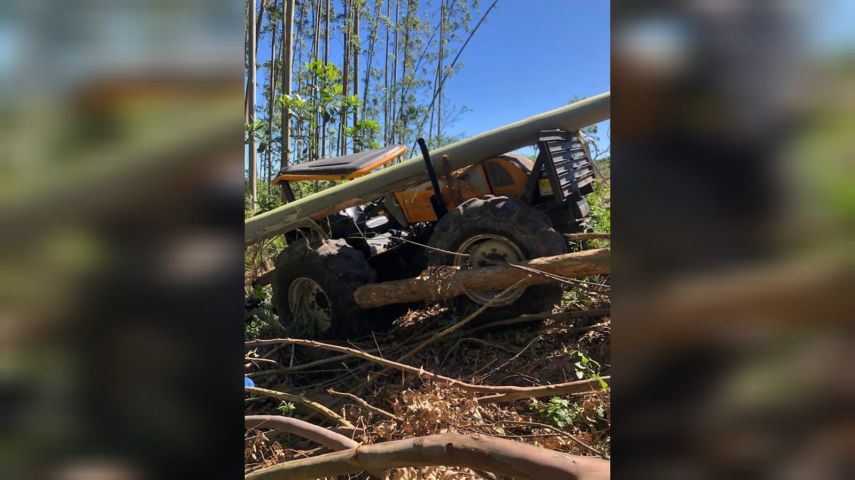 Homem morre após ser atingido por árvore durante trabalho em Jaguaruna