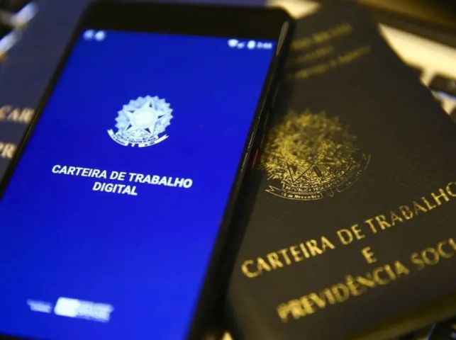 SC mantém menor taxa de desemprego do país e lidera índices positivos do mercado de trabalho Isabéli Bender