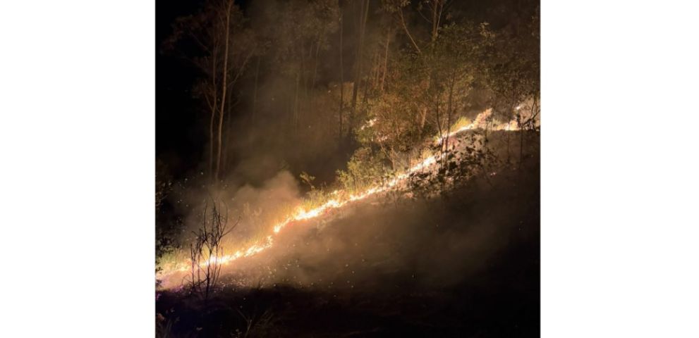 (Vídeo) Incêndio de grandes proporções atinge área de vegetação e ameaça casas em Jaguaruna