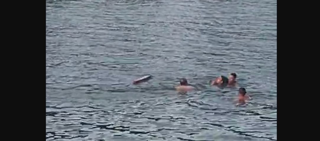 Homem é resgatado pelos bombeiros após submergir no Rio Tubarão