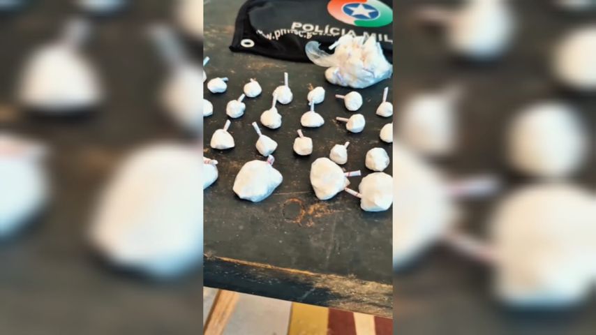 VÍDEO: Com auxílio do cão policial Gam, PM apreende 103 gramas de cocaína no bairro Bom Pastor, em Tubarão