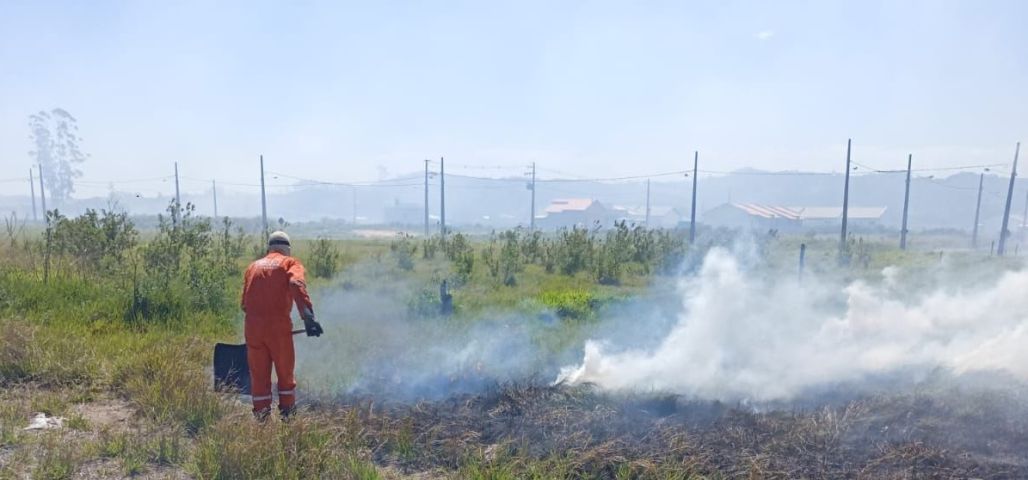 Incêndio atinge 5 km de vegetação à beira da linha férrea em Jaguaruna