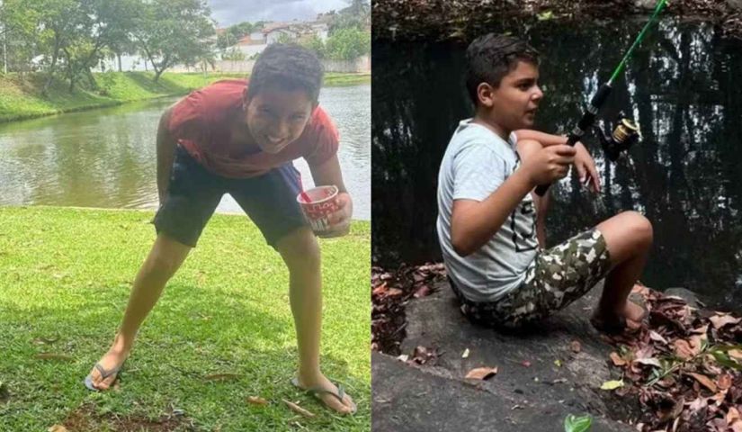 No país: Criança de 9 anos morre após ser atacada por enxame com mais de mil abelhas