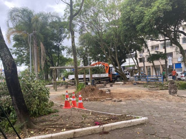 VÍDEO: Secretaria de Serviços Públicos e Zeladoria realiza poda das árvores da Praça Sete de Setembro