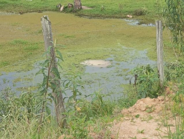 Carro capota e fica submerso na SC-370 em Gravatal
