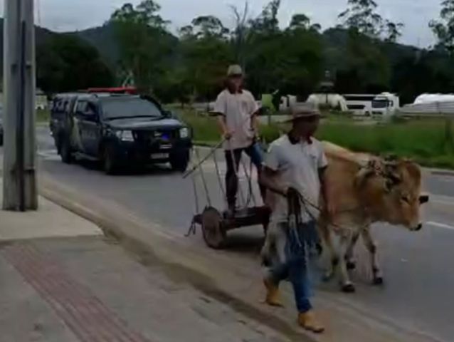 (Vídeo) ‘Amigos do Carro de Boi’ conduzem procissão da Imaculada Conceição, em Tubarão