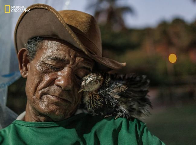 Fotografia brasileira está na lista das melhores imagens de 2025 da National Geographic