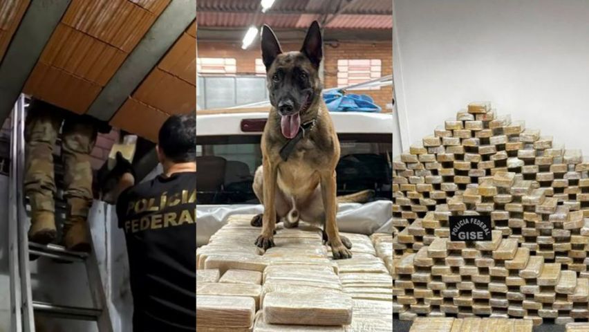 PF encontra bunker com mais de 600 kg de cocaína em Blumenau