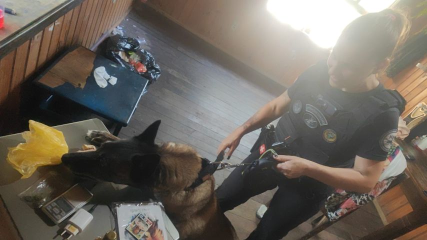 Mulher de 45 anos é presa por tráfico de drogas em Laguna