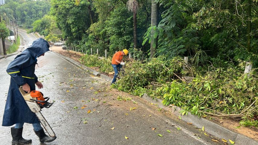 VÍDEO: Amurel registrou em média 80 milímetros de chuva nas últimas horas; região segue em alerta para ventos fortes