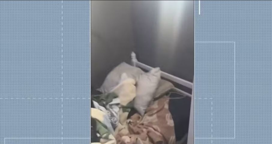 Em SC: Mulher é libertada e dois homens são presos em esquema de condição análoga à escravidão