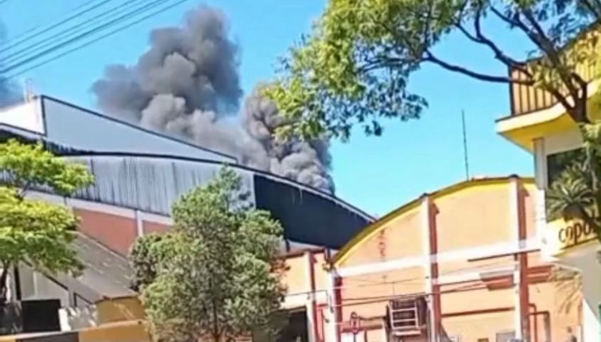 (Vídeo) Incêndio mobiliza bombeiros na empresa Copobras, em São Ludgero