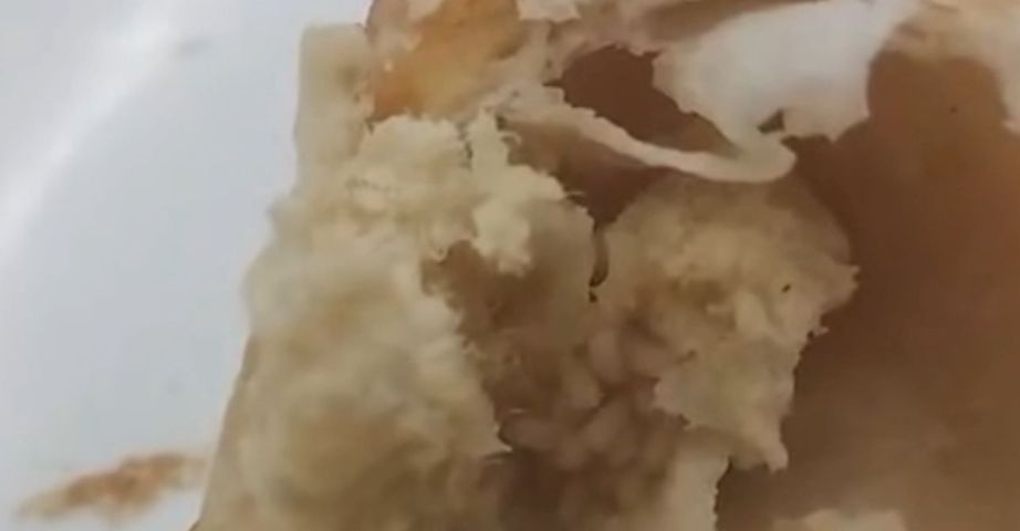 (Vídeo) Casal denuncia presença de larvas em salgado consumido em padaria de Tubarão
