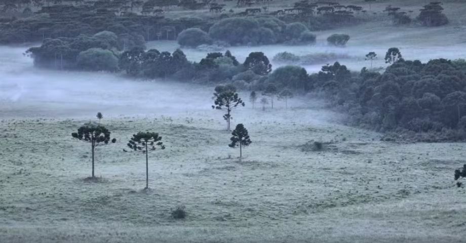 SC tem amanhecer com campos cobertos por geada e mínima de 1 °C
