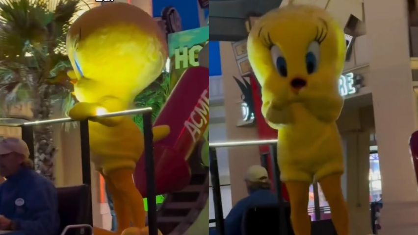 (VÍDEO) Grito por Piu-Piu em desfile viraliza e arranca risadas nas redes sociais