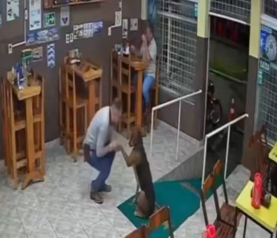 (Vídeo) Cachorro interrompe homem, pede carinho e cena viraliza