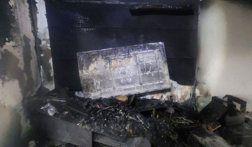 Bombeiros salvam sete gatos de casa em chamas em SC