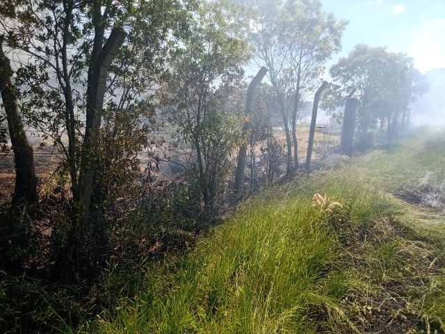 Incêndio em vegetação mobiliza bombeiros em Sangão