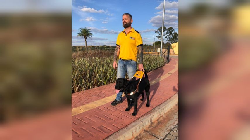 Cães-guia não são pets e têm acesso garantido por lei, reforça especialista
