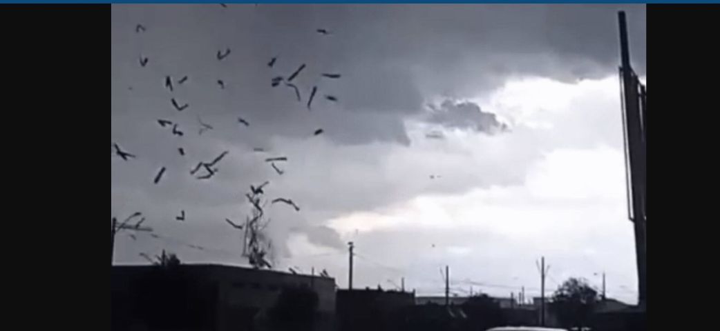 (Vídeo) Tornado causa destelhamentos e queda de árvores em São José dos Pinhais, no Paraná