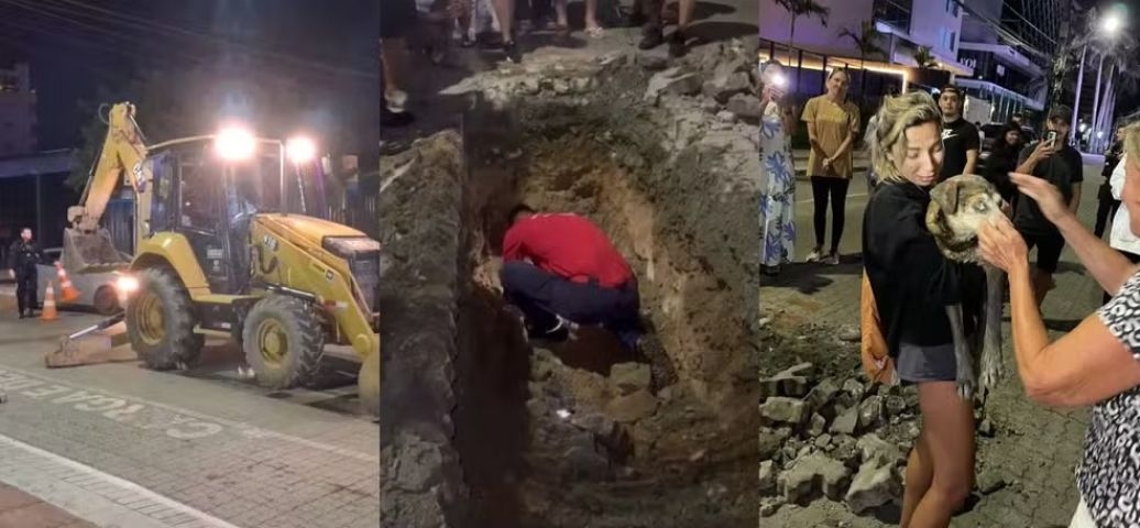 (VÍDEO) Resgate de cachorro cego mobiliza força-tarefa e comove moradores em Itajaí