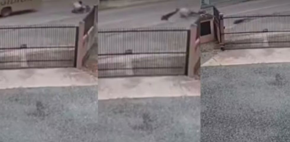 (Vídeo) Em SC: Motociclista é arrastado pelo pescoço por fios soltos após ônibus puxar fiação