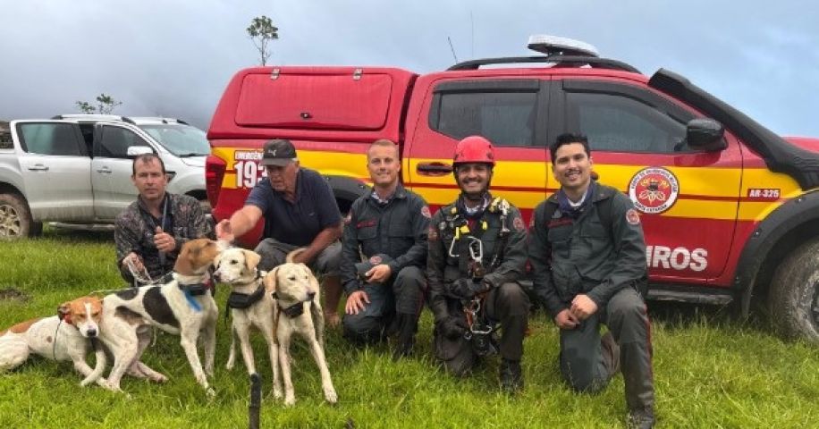 Após horas de operação, quatro cães são resgatados pelos bombeiros em encosta de serra em Orleans