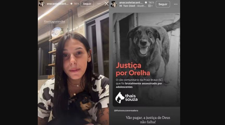 (Vídeo) Ana Castela e outros famosos reagem à morte de cão Orelha após turtura em SC
