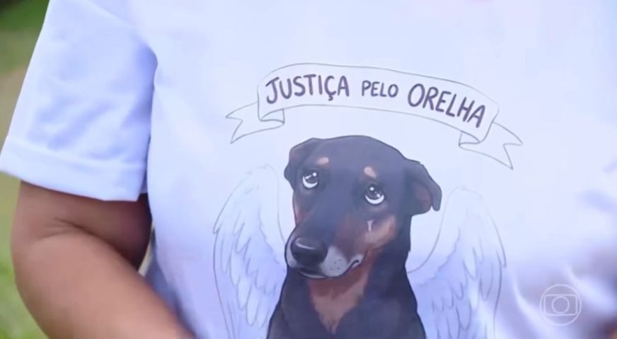 VÍDEO: Chamada do Jornal Nacional repercute crime brutal contra o cãozinho Orelha