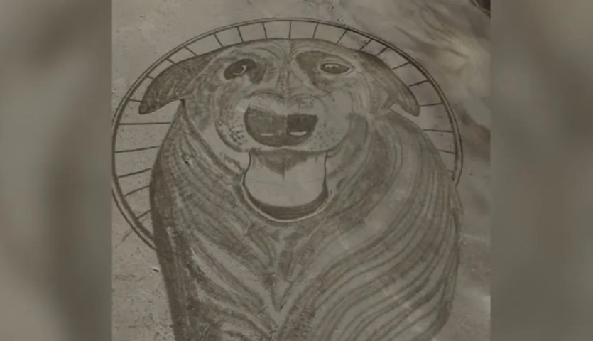 (Vídeo) Artista cria homenagem a Orelha em praia de Florianópolis e pede justiça