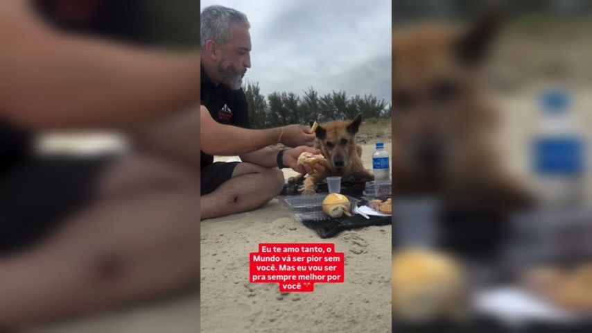 VÍDEO: Em um gesto emocionante, casal leva cãozinho de estimação para passear na praia em seus últimos momentos de vida