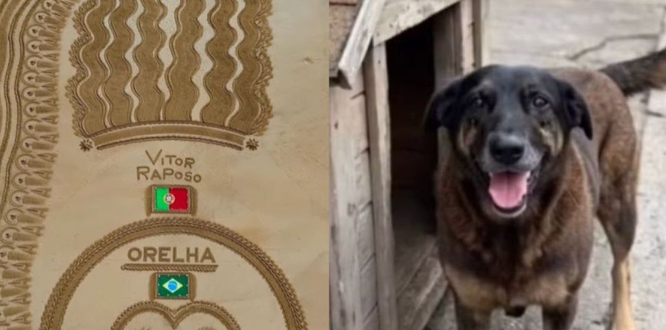 (Vídeo) Comoção cruza fronteiras e homenagem ao cão Orelha vai parar em praia de Portugal