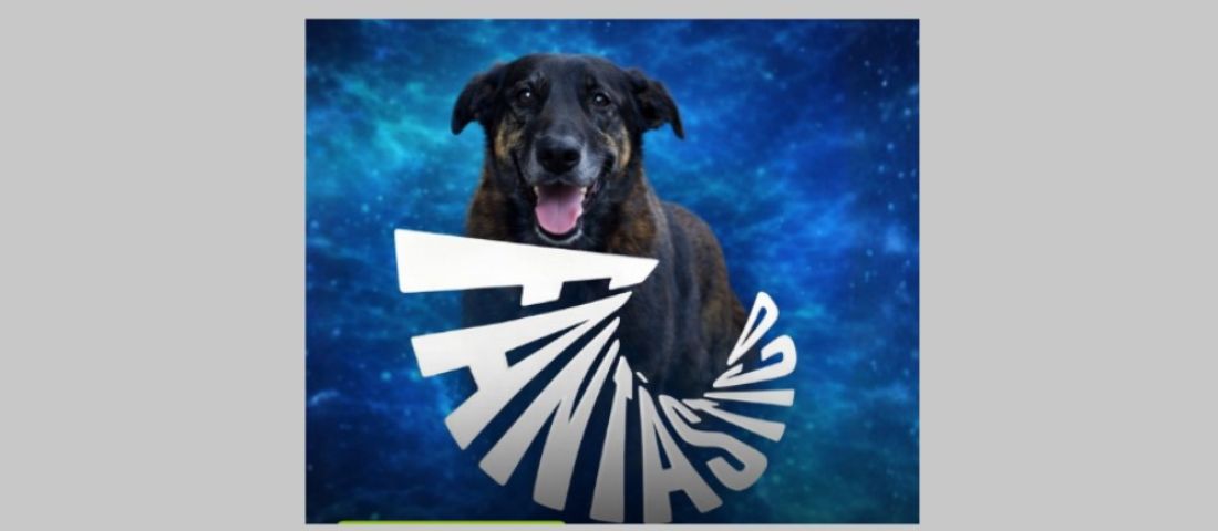 (Vídeo) No Fantástico, veterinário detalha atendimento ao cão Orelha após resgate