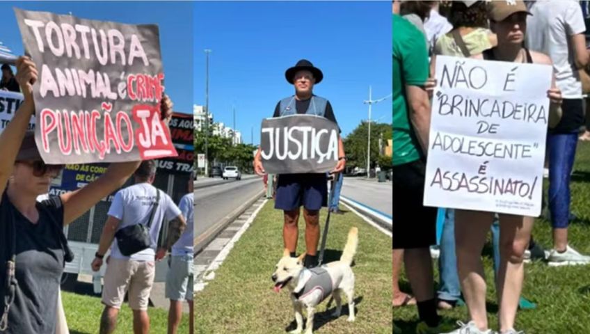 (Vídeo) Caso cão Orelha mobiliza manifestações em SC, SP e em várias cidades do Brasil