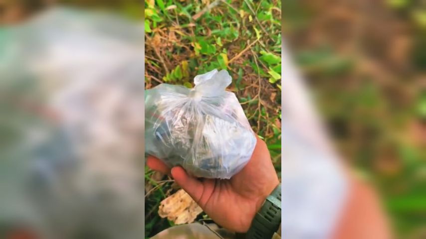 VÍDEO: Com auxílio do cão policial, PM apreende drogas no bairro Campestre, em Tubarão