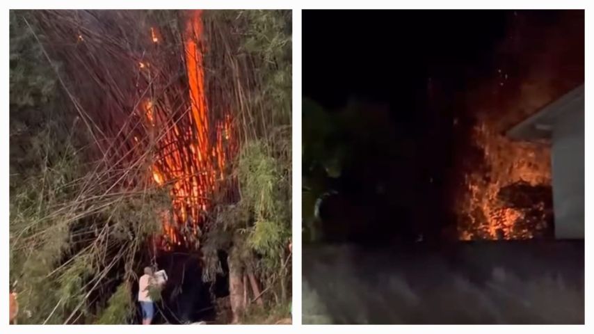 VÍDEO: Mesmo após chamas terem sido contidas, fogo volta a se alastrar em área de mata em Tubarão