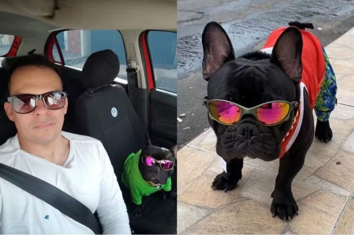 (VÍDEO) Buldogue vira mascote de passageiros ao acompanhar motorista de app em Teresina
