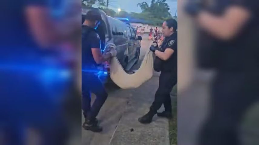 Cão vítima de maus-tratos é morto por adolescentes em Itajaí