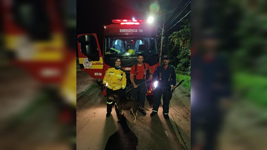 VÍDEO: Ação rápida do Corpo de Bombeiros resgata cães que caíram em tubulação em Tubarão