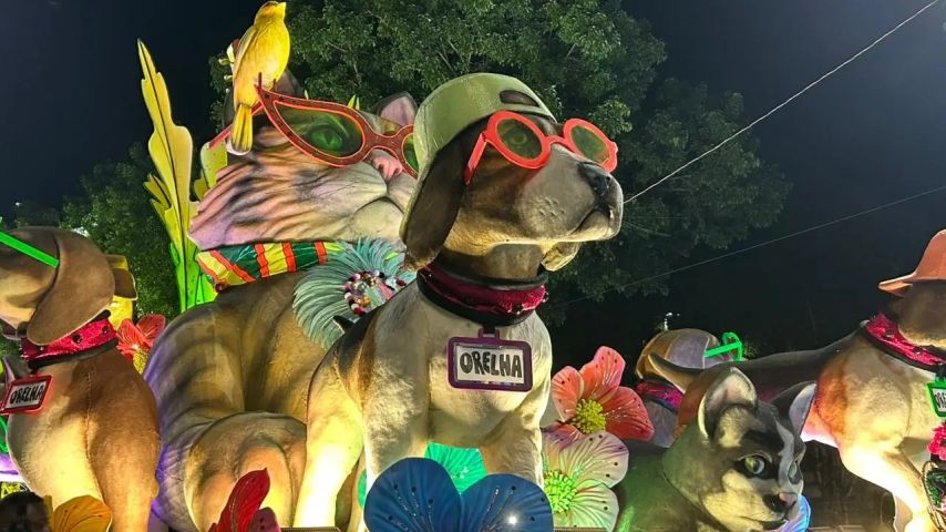 VÍDEO: Escola de Samba homenageia Cão Orelha no carnaval do Rio de Janeiro