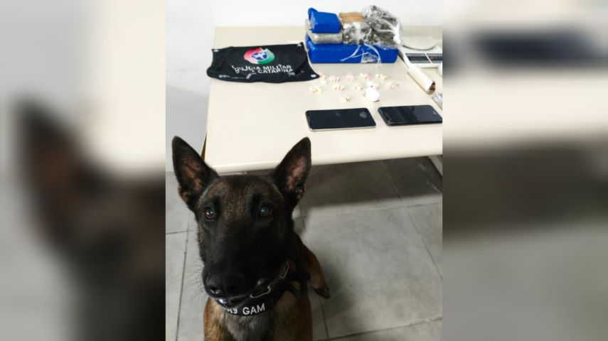 Polícia Militar desmantela ponto de armazenamento de drogas em Tubarão; homem de 23 anos foi preso